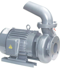 Hình ảnh: Máy bơm nước đồng ruộng động cơ 4 cực NTP YVP280 11.5 46 2HP