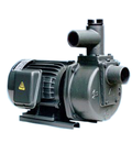 Hình ảnh: Máy bơm tự hút đầu gang NTP HSP250 1.75 26 1HP