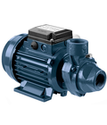 Hình ảnh: Máy bơm ly tâm trục ngang 1 tầng cánh Ebara PRA 100M 1HP