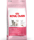 Hình ảnh: Thức ăn cho mèo Royal canin Kitten 36