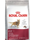 Hình ảnh: Thức ăn cho mèo Royal canin Fit 32