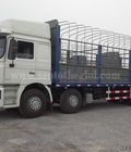 Hình ảnh: Đại lý Shacman Miền nam Hỗ trợ 80% giá trị xe Qua ngân hàng, Hồ sơ vay đươn giản