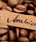 Hình ảnh: Cà phê Chồn Arabica không phải đại gia vẫn uống thả ga