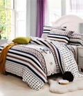 Hình ảnh: Bộ ga + 2 vỏ gối cotton