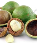 Hình ảnh: Các loại hạt khô: Mắc Ca, óc chó, hạnh nhân, hồ đào, thông....
