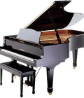 Hình ảnh: Đàn Grand Piano giá khuyến mãi cho mọi giá đình