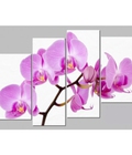 Hình ảnh: tranh ghép 4 tấm hoa Lan DH583A