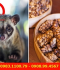 Hình ảnh: Cà phê chồn trang trại loại D món quà tết mỗi khi xuân về