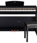 Hình ảnh:  List đàn piano điện 2nd vừa từ Nhật về, giá rất tốt!