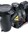 Hình ảnh: Máy bơm hồ bơi DAB Euroswim 100 M 1HP