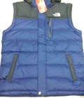 Hình ảnh: Áo The North Face Lông vũ nam tháo tay Down and Vest together f