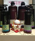 Hình ảnh: Dầu Gội Collagen