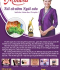 Hình ảnh: Loại Túi chườm Ngải cứu