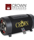 Hình ảnh: Loa crown cD4X DLS