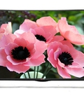 Hình ảnh: Siêu khuyến mại về giá Tivi led LG 43LF540T 43 inch Full HD, True Motion 50Hz