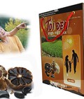 Hình ảnh: Tỏi đen HVQY 500g