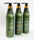 Hình ảnh: Bộ dầu gội sữa tắm our herb story