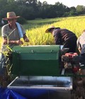 Hình ảnh: Bán máy tuốt lúa mini chạy xăng dùng cho ruộng bậc thang giá cực rẻ