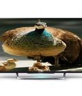 Hình ảnh: Phân phối Tivi Sony 32W600, 40W650, 48W650 giá cực hấp dẫn