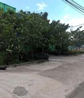 Hình ảnh: Bán 1000M2 đất kho xưởng MT Nguyễn Đình Kiên, xã Tân Nhựt, Bình Chánh