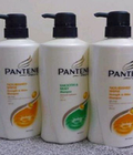 Hình ảnh: Dầu gội pantene Thái Lan