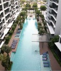 Hình ảnh: Kết thúc bảng hàng tòa S3 , Ra mắt tòa S1 Season Avenue Làng việt Kiều Châu Âu