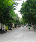 Hình ảnh: Cho thuê nhà ở