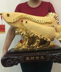 Hình ảnh: Cá rồng tài vượng