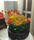 Hình ảnh: Cóc ngọc ngậm tiền