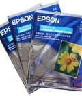 Hình ảnh: Ra mắt Giấy in ảnh EPSON A4.