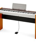 Hình ảnh: Đàn Piano Casio PX 100