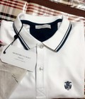 Hình ảnh: Bán áo polo selected homme authentic