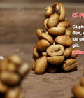 Hình ảnh: Cà phê chồn Đắk Lắk nguyên chất, giá rẻ tại TPHCM