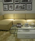 Hình ảnh: Sofa SF16 (23)