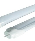 Hình ảnh: Bóng tuyp led