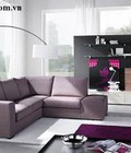 Hình ảnh: Sofa SF16 (18)