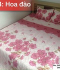 Hình ảnh: Bộ chăn ga gối trần bông hoa đào