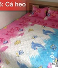 Hình ảnh: Bộ chăn ga gối trần bông cá heo