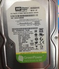 Hình ảnh: HDD Western Digital Green 250G hàng đẹp như mới