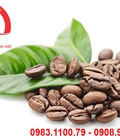 Hình ảnh: Cà phê Arabica số 07 dành cho những ai thích gu nhẹ