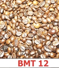 Hình ảnh: Cà phê BMT 12 cho ly cà phê đá thêm đậm đà