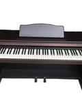 Hình ảnh: Đàn Piano điện Casio AP10 cũ