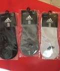 Hình ảnh: Tất hè Adidas