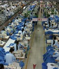 Hình ảnh: Thu mua hàng trẻ em