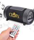 Hình ảnh: Loa mini Crown D4X cao cấp