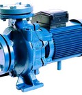 Hình ảnh: Máy bơm nước Pentax CM 32 160C 1.5KW máy bơm nước công suất lớn