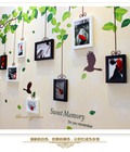 Hình ảnh: Bộ 9 Khung Ảnh Trang Trí Decal Vườn Chim   