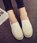 Hình ảnh: Slip on