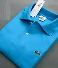 Hình ảnh: Áo thun nam Lacoste chất đẹp siêu rẻ 95k