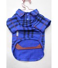 Hình ảnh: Áo sọc cho chó mèo